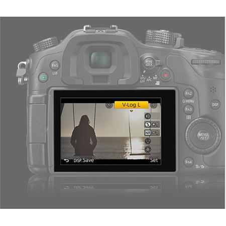 Panasonic V-Log L Function Firmware Upgrade Kit for DMC-GH4, DC-GH5, and  DMC-FZ2500 Cameras, Card with Software Activation Code
