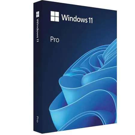 Microsoft Windows 11 Professional 64-Bit, Single License, DVD FQC