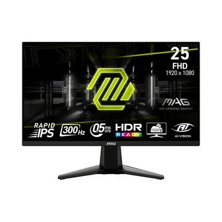 MSI MAG 255XF 24.5