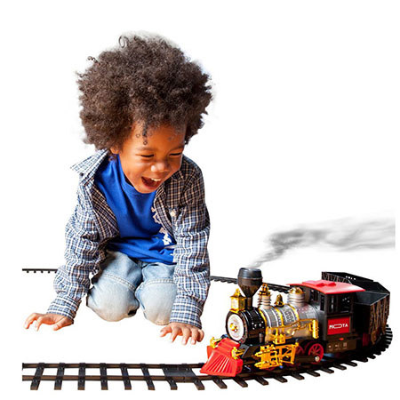 mota train
