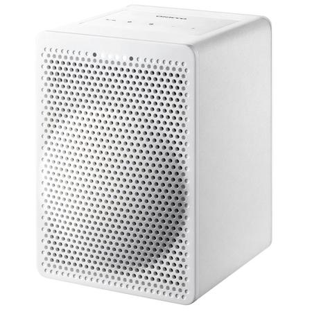 setting up echo auto