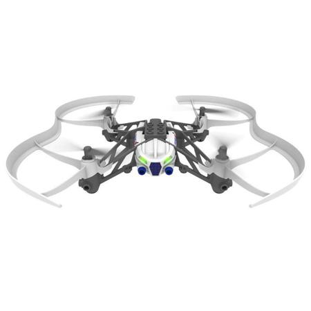 parrot airborne night