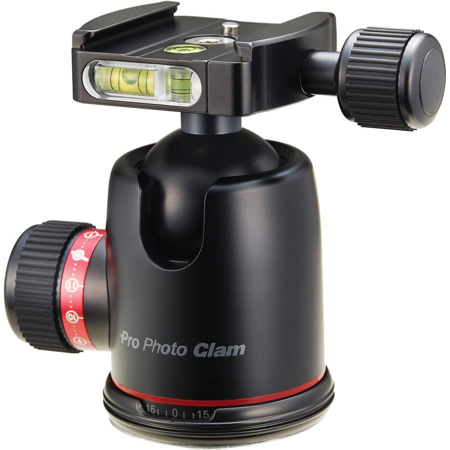 Photo Clam
