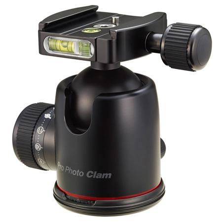 Photo Clam