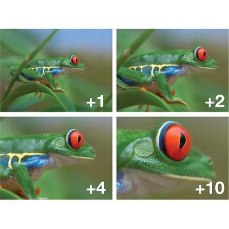 +1, +2, +4, +10 Polaroid Optics 62mm 4 Piece Close Up Camera Lens Filter Set