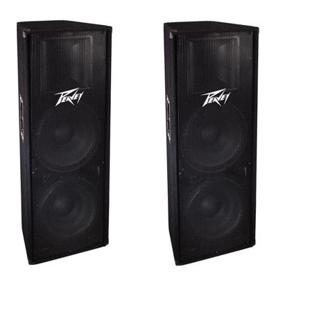 double 15 speaker