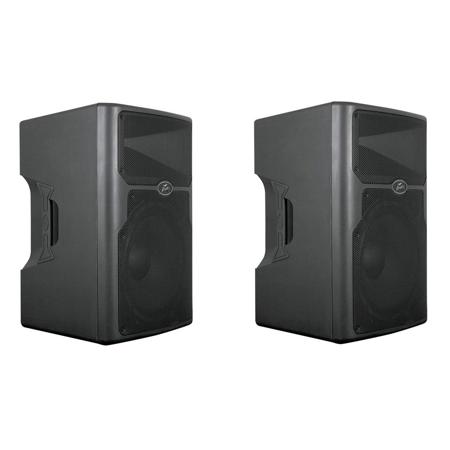 peavey pvx 15 active