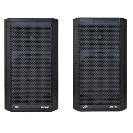 peavey dm 112