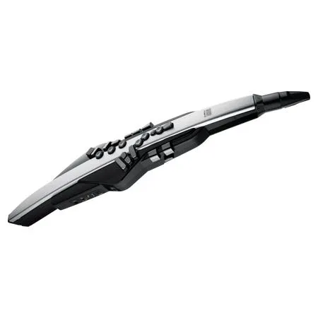 Roland Aerophone Pro AE-30 Digital Wind Instrument AE-30 - Adorama