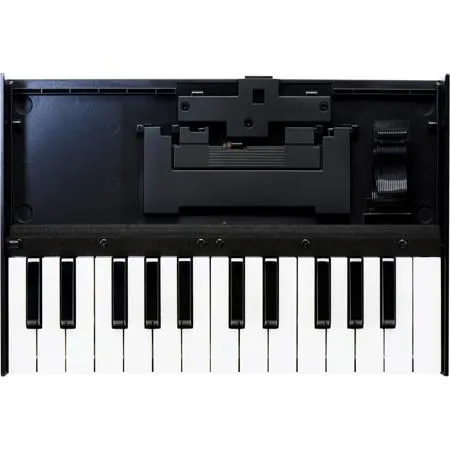 Roland Boutique K-25m 25-Note Portable Keyboard Unit for Boutique