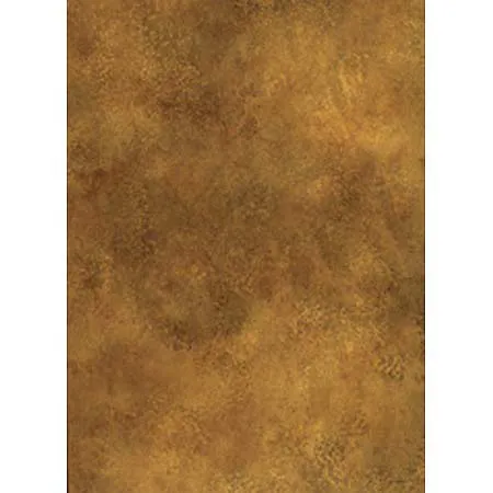 Savage Infinity 10x20ft Muslin Background Petra, Tan