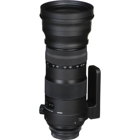 sigma 150 600mm sports lens sigma 150 600mm sports lens