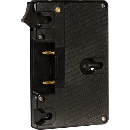 Shape Gold Mount Lock Plate