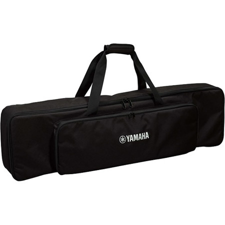 casio piano case