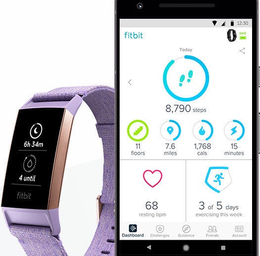 Fitbit App Dashboard