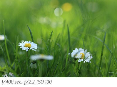 The EF-M 32mm f/1.4 STM features a 7-blade