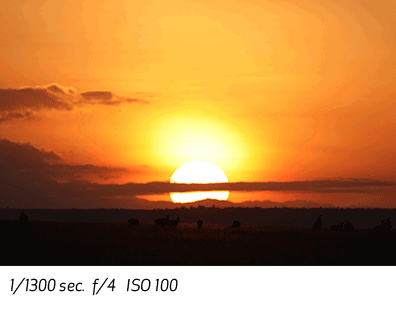 EF 600mm f/4L IS