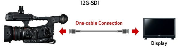 12G-SDI, Genlock SMPTE Time Code and Other Terminals