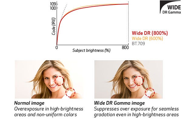 Wide DR Gamma (800%) Support