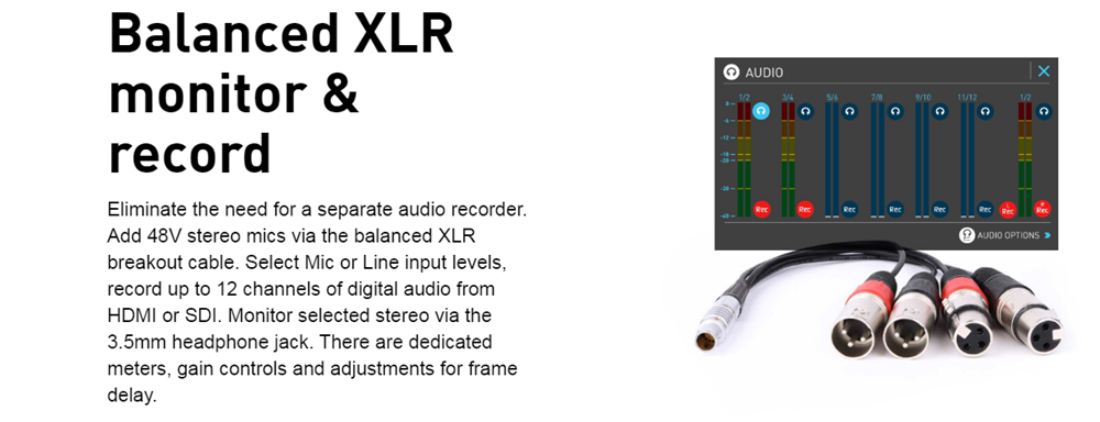 balanced XLR
