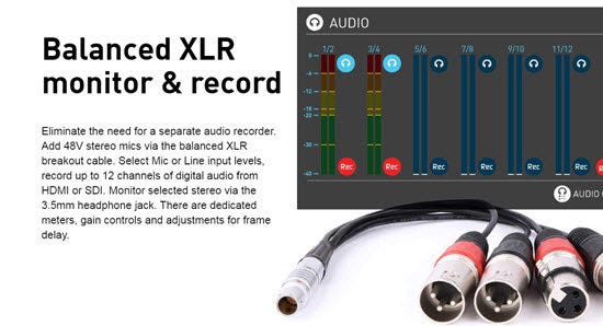 balanced XLR