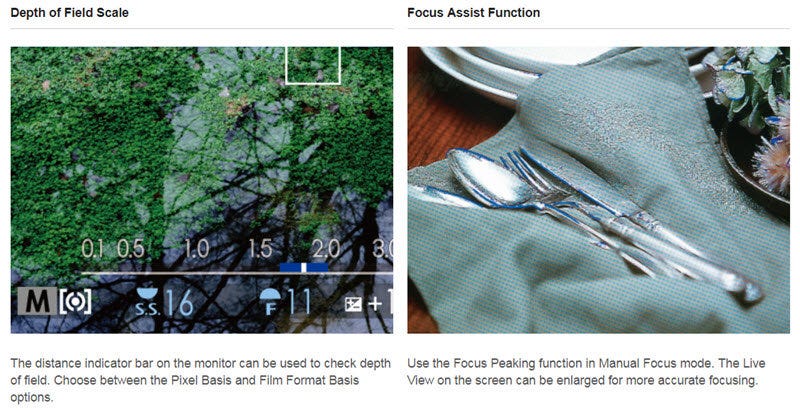 Depth of Field Scale