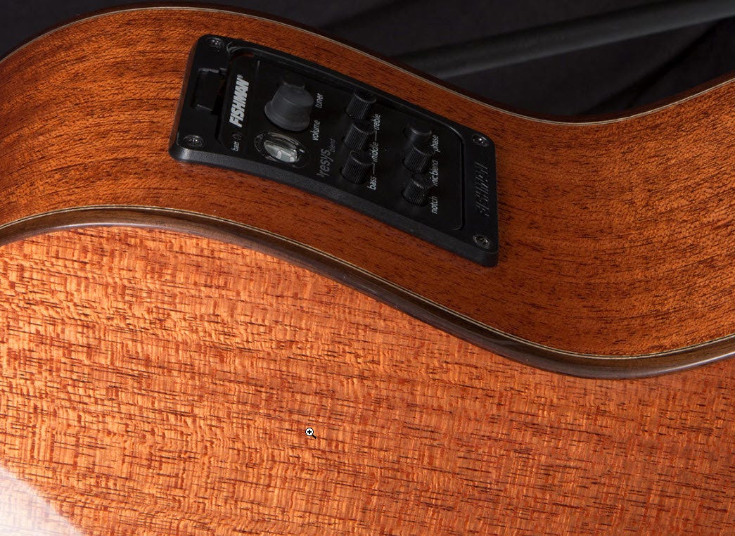 Washburn Electronics