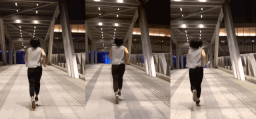 small smooth image pocket gimbal