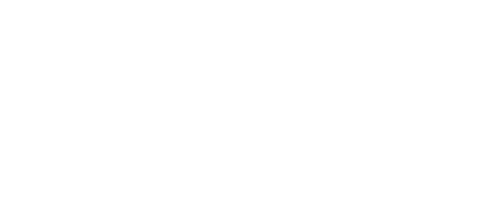 Fender American Performer Series