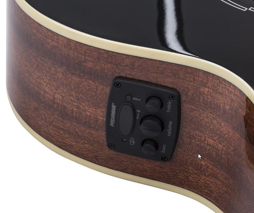 Fender & Fishman Electronics
