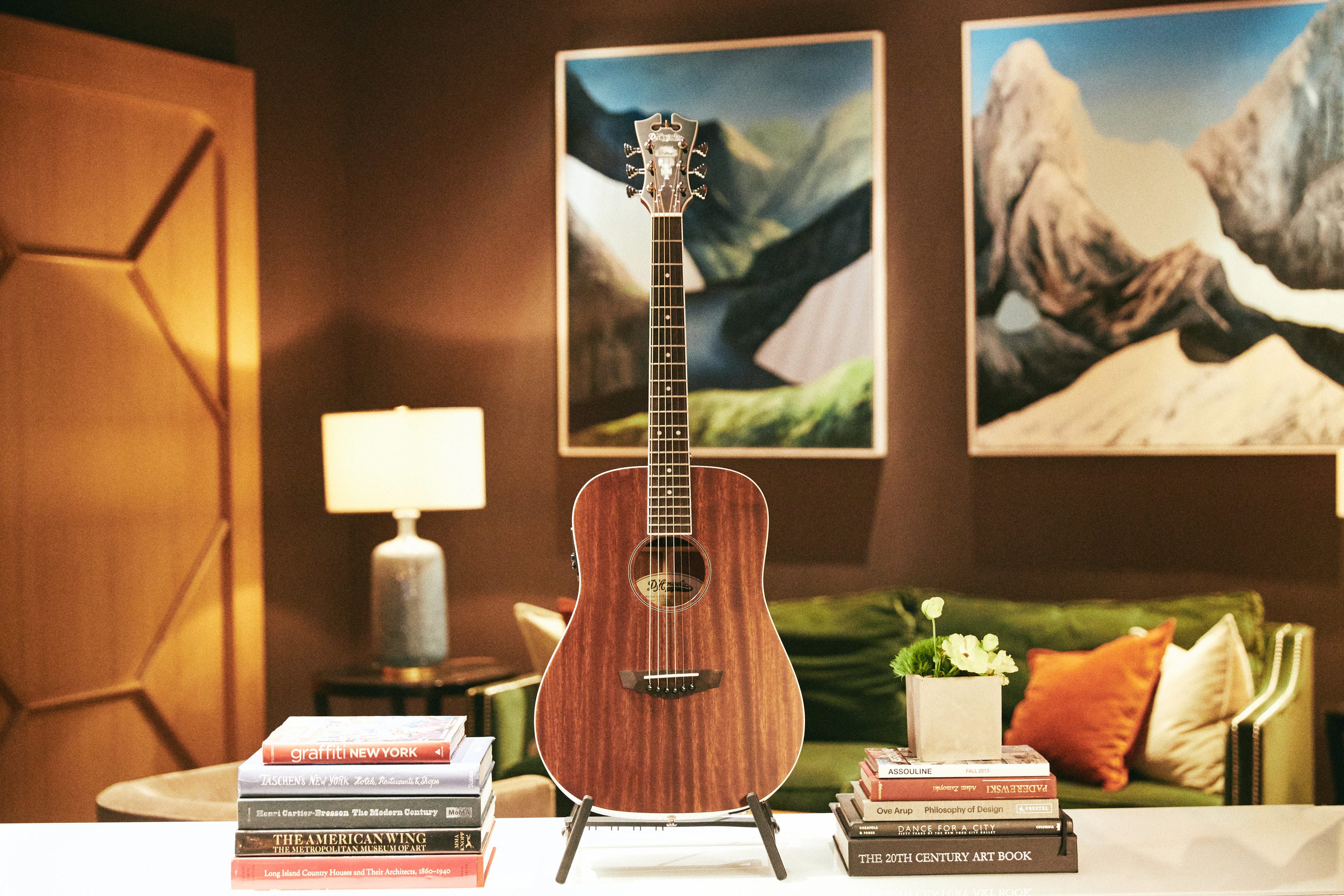 D'Angelico Guitars - Premier Niagara