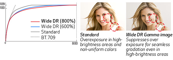 Wide DR Gamma (800%) Support