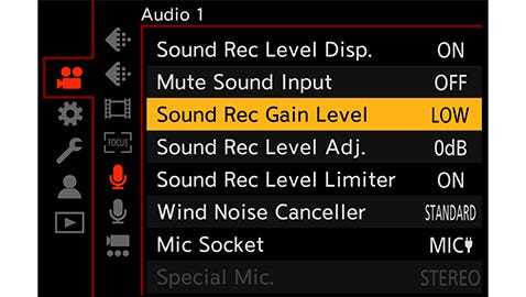 Sound Rec Gain Level