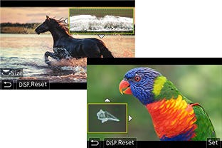 WFM / Vectorscope