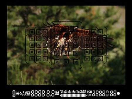 45-point all cross-type AF system* Supports up to 27 Points with an f/8 Metering