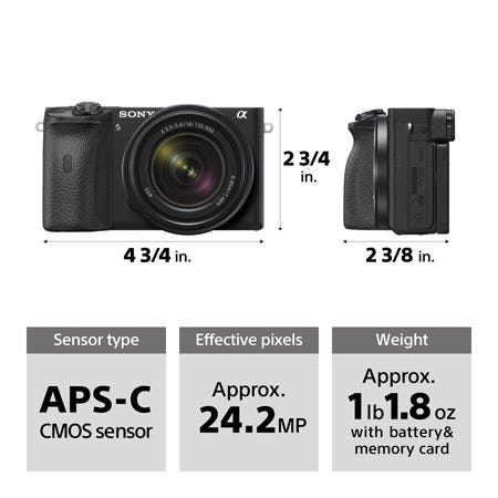 memory card for sony a6600