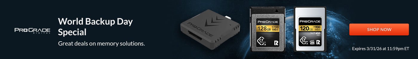World Backup Day - Prograde