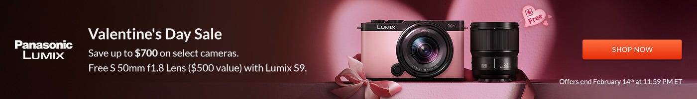 Panasonic Lumix Valentine's sale