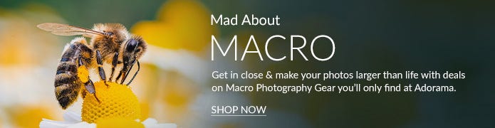 Macro Photo