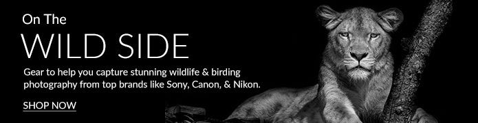 Wildlife Photography
