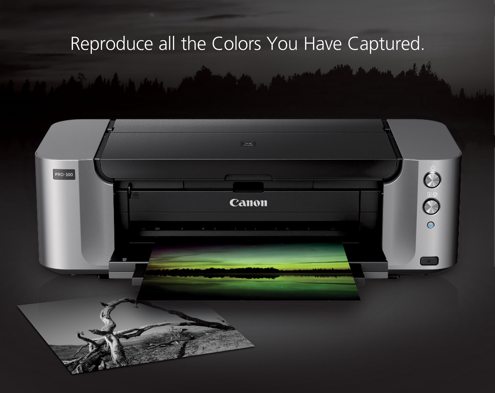 nauwelijks zag krab Canon PIXMA PRO-100 Professional Photo Inkjet Printer 6228B002