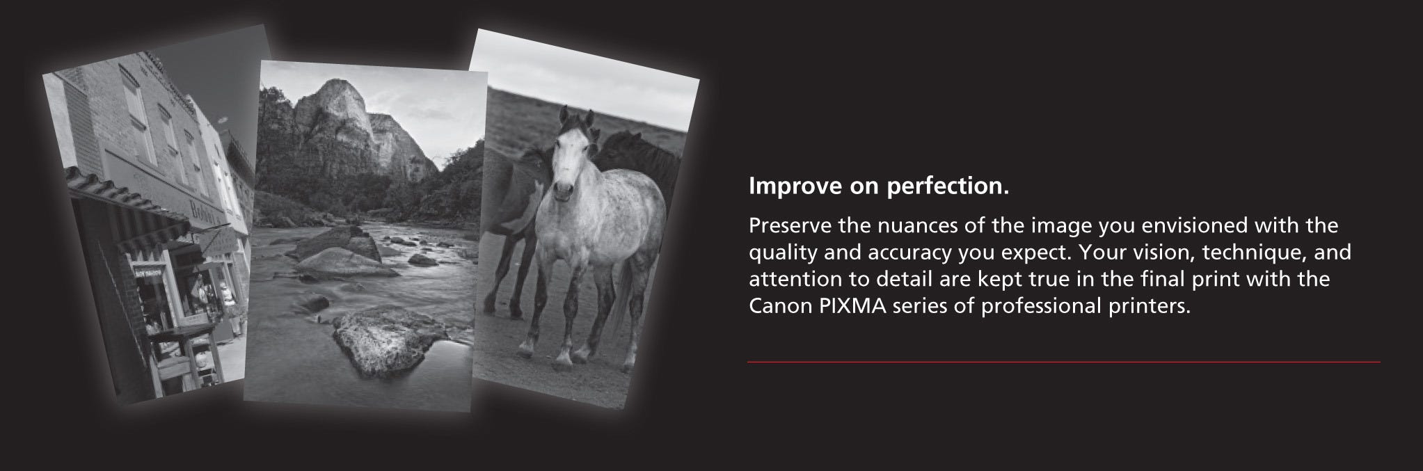 Canon PIXMA series of professional printers