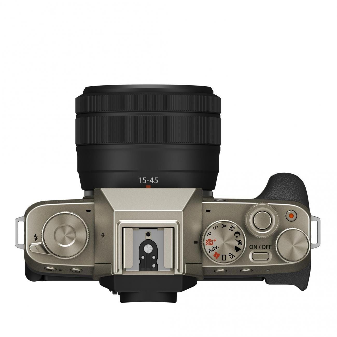 Focus on the Faces and the Moment