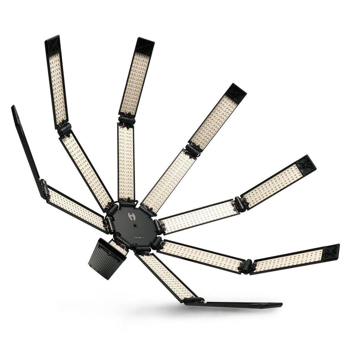 The “REDBACK kit” plus a 180 degree teaser, 36” soft egg-crate and the handle.