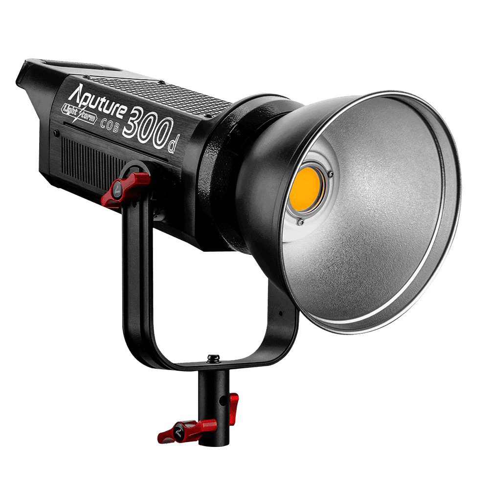 Aputure LS C300d.