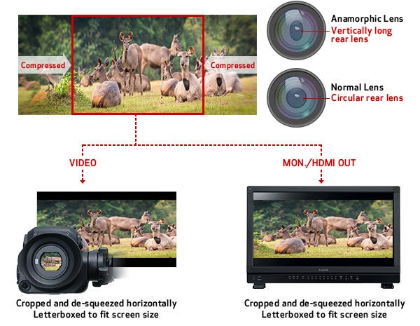 Anamorphic Lens Support.