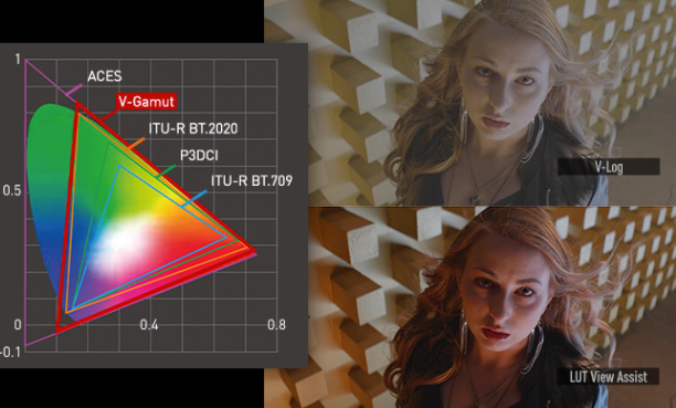 V-Log/V-Gamut with 14+ Stops of Dynamic Range.