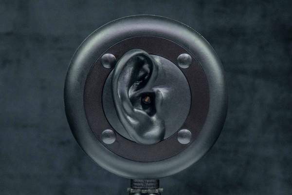 Microphone Capsules.