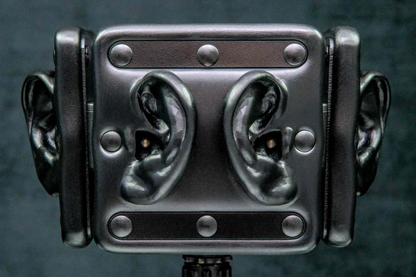 3Dio Omni Pro Binaural Microphone.