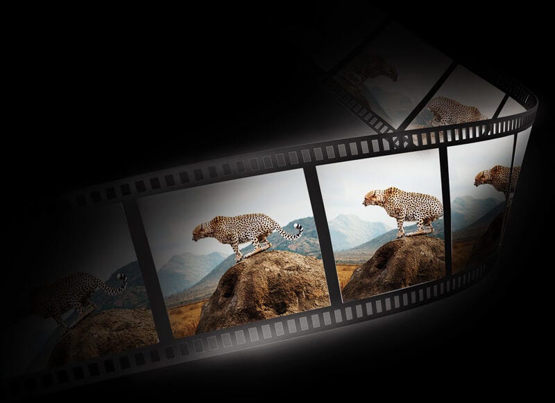 Video Format Support.